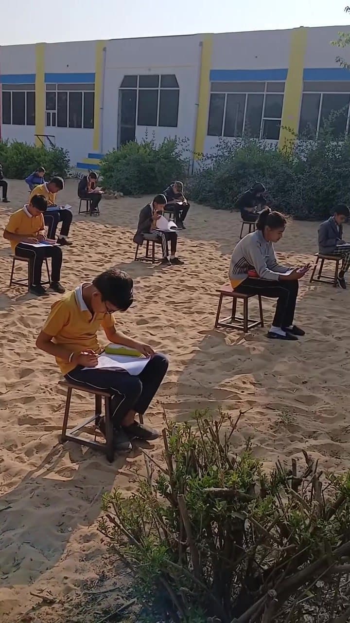 Students writing their papers on stools in the winter sun beside green shrubs.
